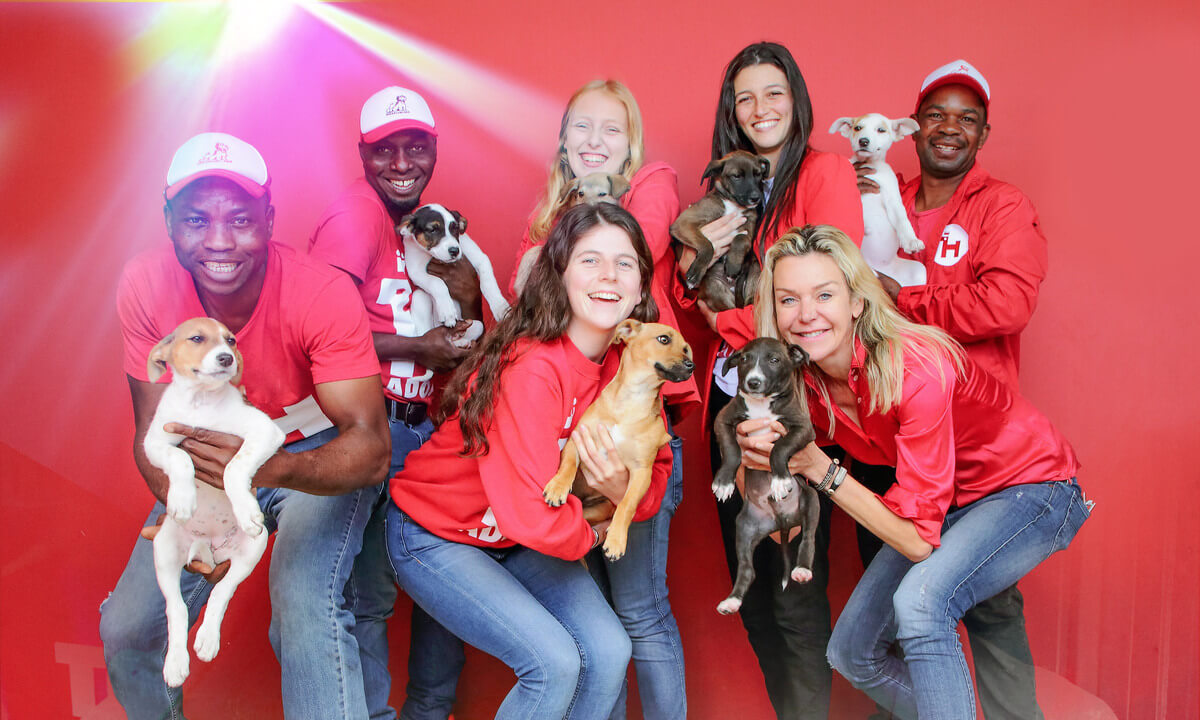 Woof Project Cape Town