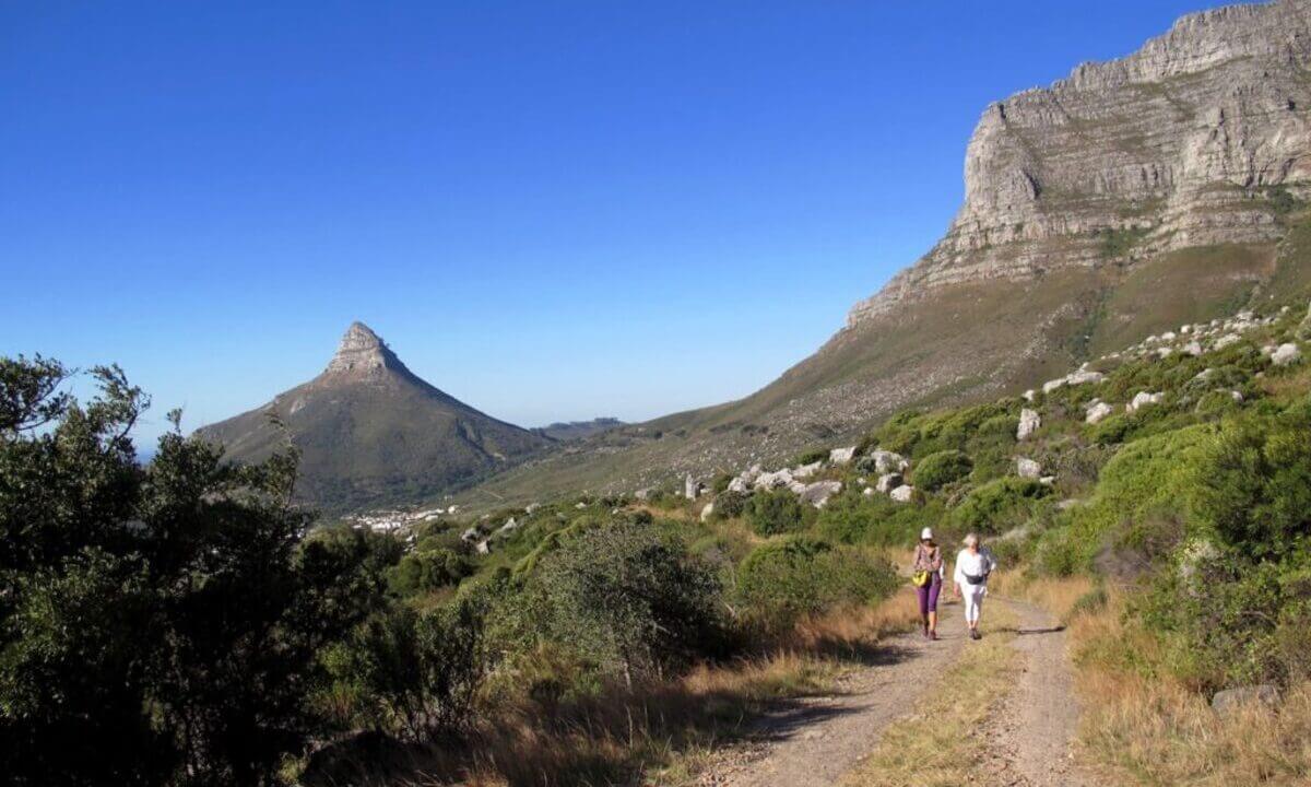 The Pipe Track